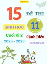 Tuyển tập 15 Đề thi cuối kì 2 năm học 2025-2026 môn Sinh học 11 Cánh Diều (Kèm đáp án)